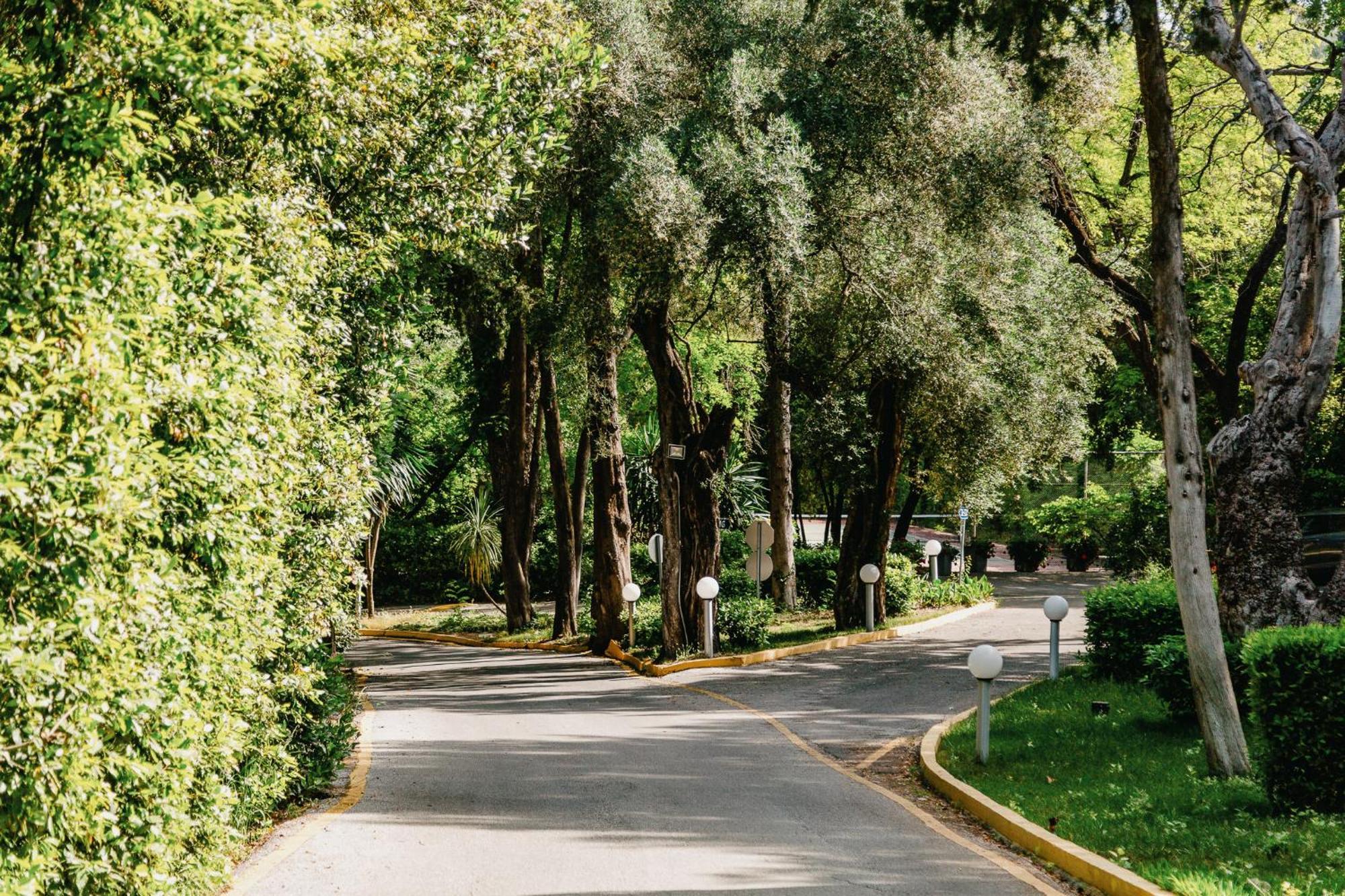 Corfu Holiday Palace Perama  Exterior photo A street in the neighborhood