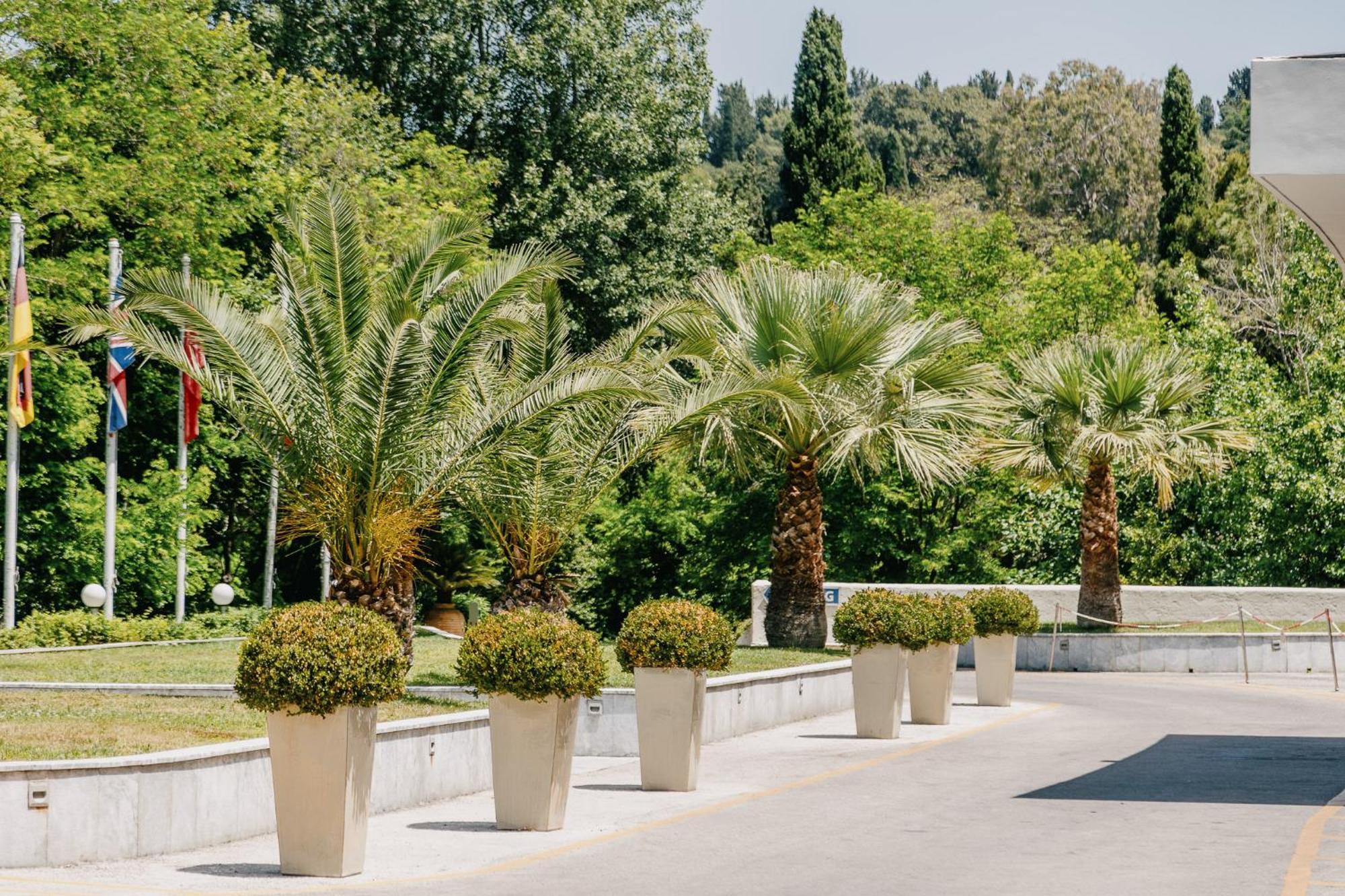 Corfu Holiday Palace Perama  Exterior photo Phoenix canariensis in pots